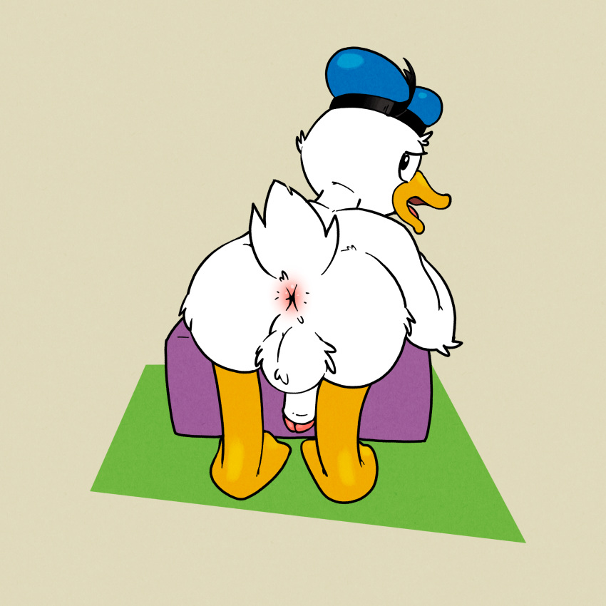 1:1 absurd_res anatid anseriform anthro anus argon_vile ass avian backsack balls beak bent_over bird clothing digital_media_(artwork) disney donald_duck duck feathers genitals hat hat_only headgear headgear_only headwear headwear_only hi_res looking_back male male_only mostly_nude nude open_beak open_mouth penis presenting presenting_hindquarters simple_background solo white_body