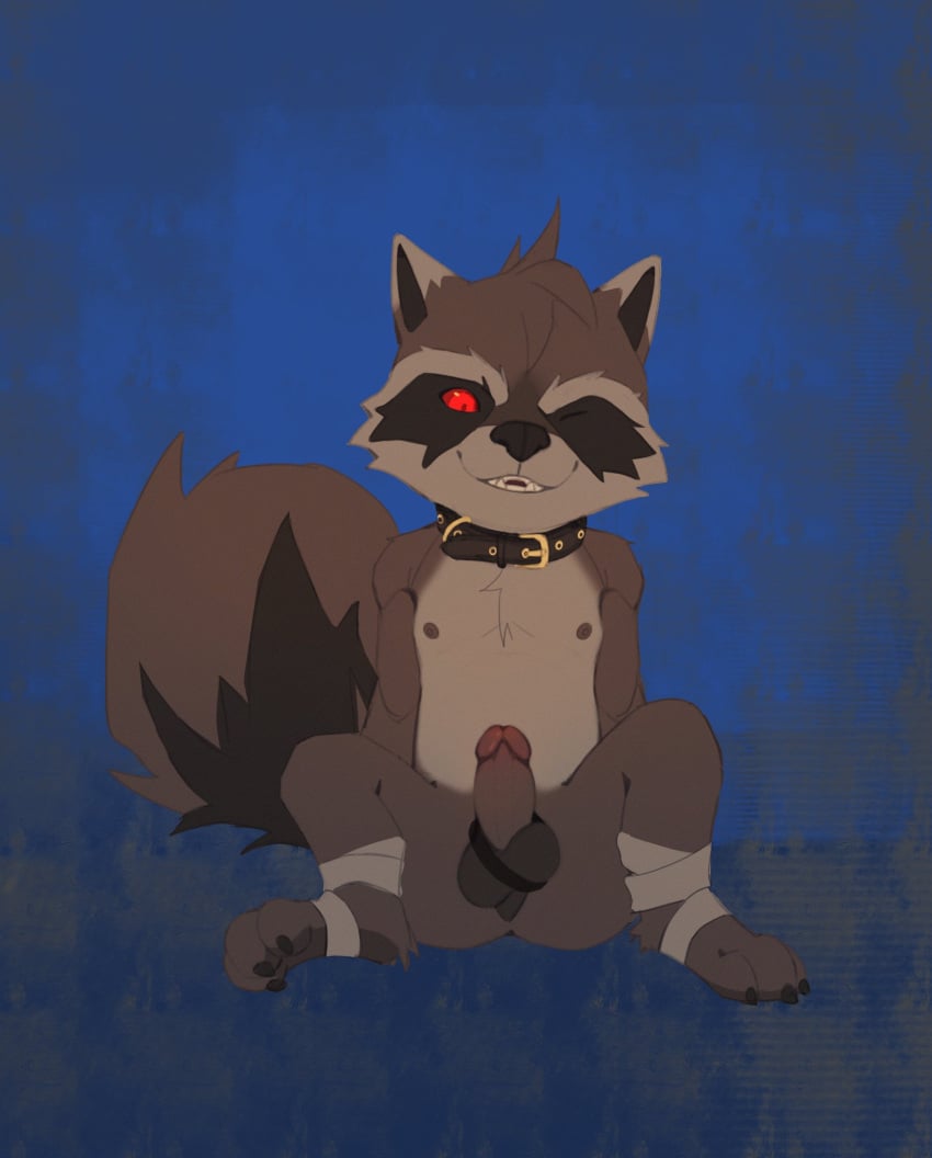 1boy animal_ears bandaged_foot bandages black_collar claws collar commentary erection furry furry_male guardians_of_the_galaxy highres looking_at_viewer male_focus marvel marvel_rivals nipples nude one_eye_closed pawpads penis raccoon_boy raccoon_ears raccoon_tail red_eyes rocket_raccoon rocket_raccoon_(marvel_rivals) sitting smile supechips symbol-only_commentary tail testicles whiskers