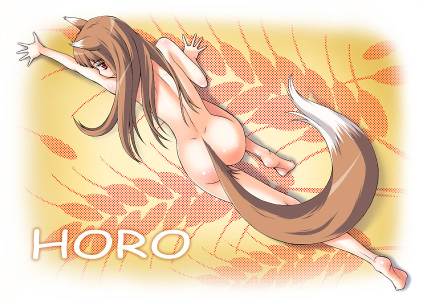 1girls all_fours animal_ears brown_hair canine female holo kouda_tomohiro long_hair looking_at_viewer mammal nude ookamimimi red_eyes soft solo spice_and_wolf tail wolf wolfgirl