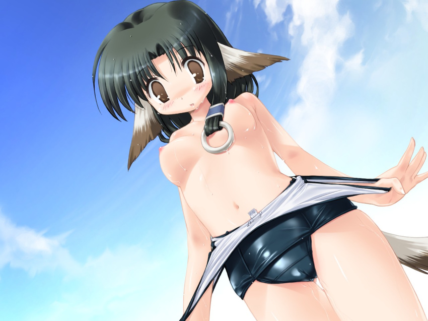 animal_ears black_hair breasts brown_eyes cameltoe eruru_(utawarerumono) female hair humanoid inumimi kemonomimi long_hair nipples ponytail solo standing swimsuit tail tied_hair topless undressing unknown_artist utawarerumono wet