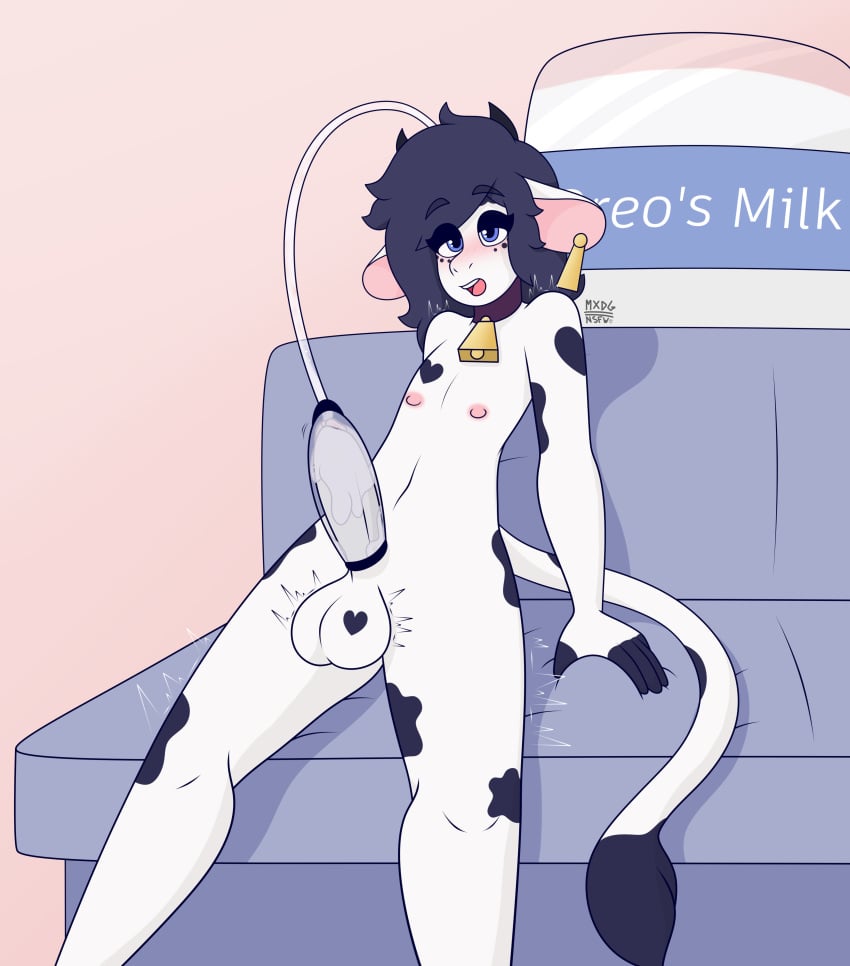 absurd_res anthro balls birthday birthday_sex blue_eyes blush blush_lines bovid bovine cattle cowbell cowbell_collar femboy fur furniture genitals heart_spots hi_res looking_pleasured machine male mammal max_draws milking_cum milking_machine milking_machine_on_male motion_lines nude nude_anthro open_mouth oreo_(max_draws) penis sex sitting sofa solo spots white_body white_fur