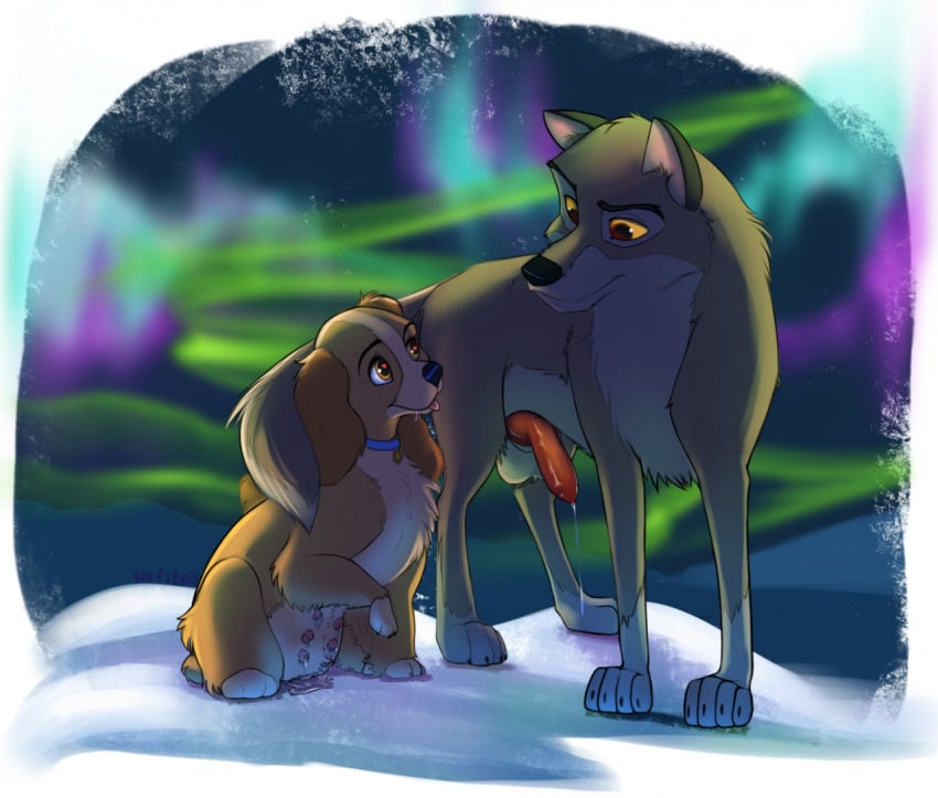 <3_eyes 2d animal_genitalia animal_penis aurora_borealis balto balto_(film) bird_dog bodily_fluids canid canine canine_penis canis cocker_spaniel collar crossover disney domestic_dog erection female feral floppy_ears full_color genital_fluids genitals heart hunting_dog hybrid lactating lady_(lady_and_the_tramp) lady_and_the_tramp larger_male male male/female mammal multi_nipple nefitail night nipples outside penis precum pussy_juice quadruped size_difference smaller_female snow spaniel tongue tongue_out universal_studios wolfdog