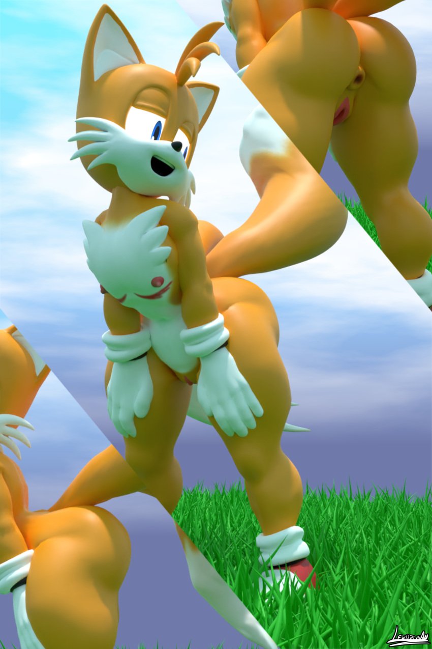 1boy 1cuntboy blender cuntboy cuntboy_only exkaizuhan17 exposed_torso footwear fox_boy handwear intersex showing_off showing_off_ass solo sonic_(series) tails