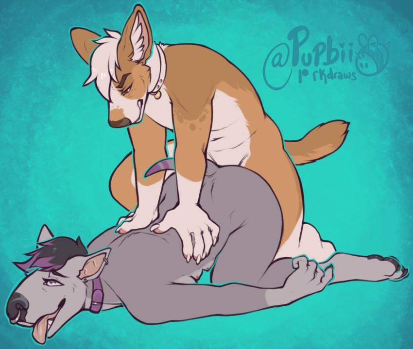 Ambiguous Penetration Rule 34 Image