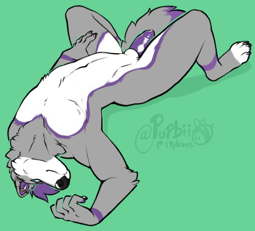 Animal Genitalia Rule 34 Image