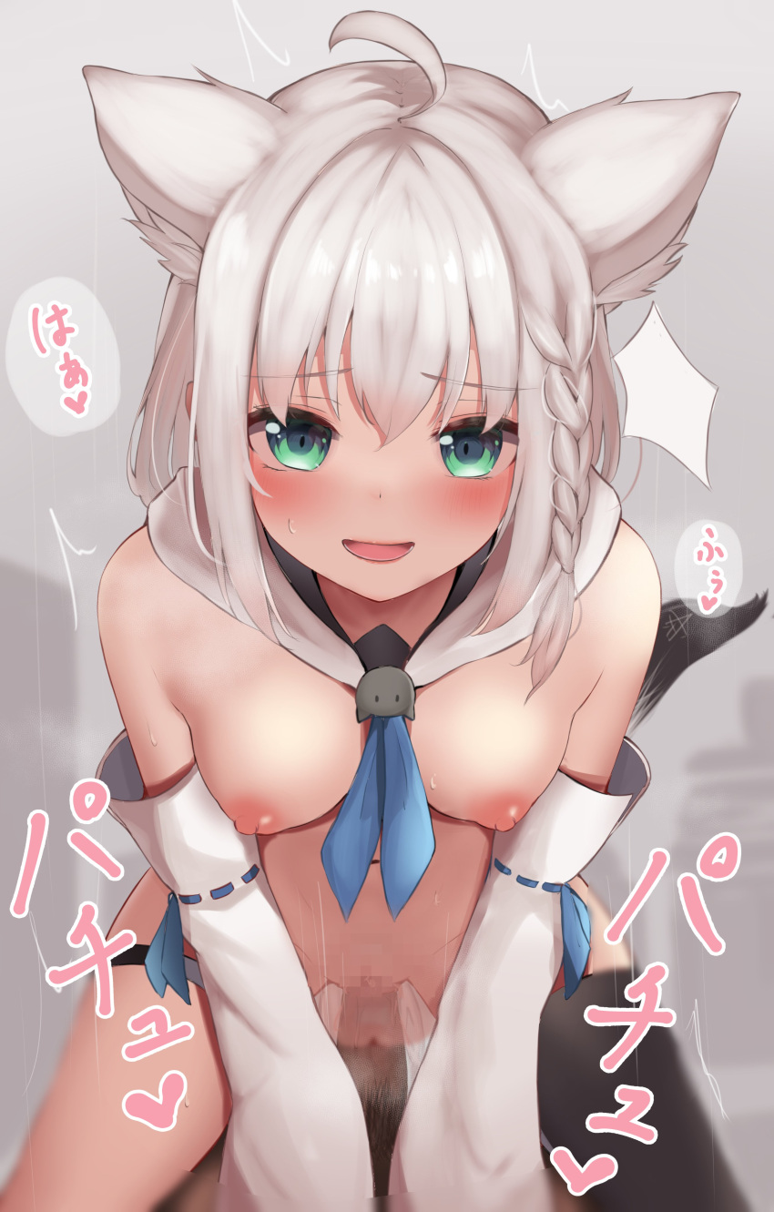 1boy absurdres ahoge animal_ears braid breasts censored cowgirl_position detached_sleeves female fox_ears fox_girl fox_tail green_eyes grey_background highres hololive hololive_gamers hololive_gen_1 hololive_japan kotatsu_mikan_(kotatumika) looking_at_viewer medium_breasts mosaic_censoring nipples open_mouth penis pussy sex shirakami_fubuki short_hair single_braid smile solo_focus straddling straight sweat tail thighhighs vaginal_penetration virtual_youtuber white_hair white_sleeves