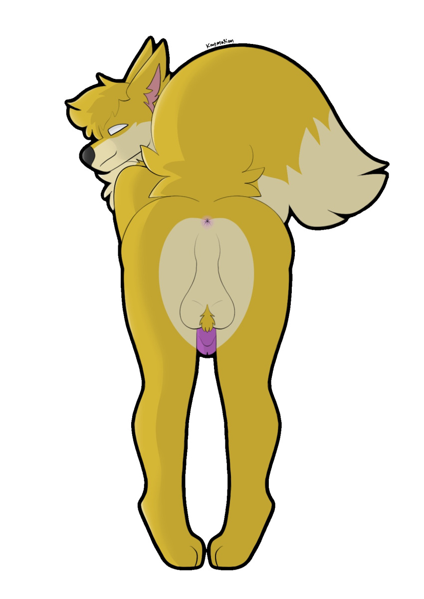 1boy anthro anus ass ball_tuft balls ballsack beige_countershading bent_over black_nose canine cartoony circumcised dangling_testicles fehn_fennec fennec fluffy_tail fox genitals hi_res kaymation looking_at_viewer low_hanging_balls male male_only mammal neck_ruff no_pupils penis perineum pink_anus presenting presenting_anus presenting_hindquarters purple_penis raised_tail scrotum smile smiling_at_viewer smooth_fur solo testicles tuft white_eyes yellow_fur