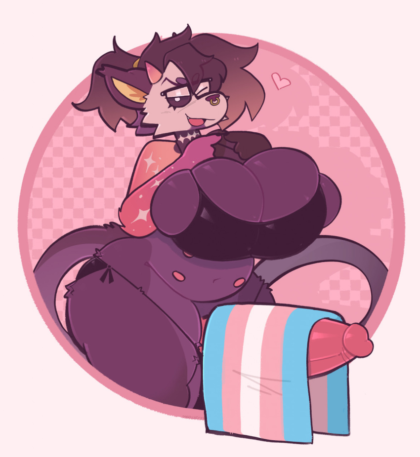 anthro bra breasts dogfluid domestic_cat fan_character felid feline felis furry futanari genitals heart highres large_breasts lgbt_pride mammal penis poking_penis pride_colors solo thick_thighs tight_clothing transgender_flag transgender_pride_colors underwear