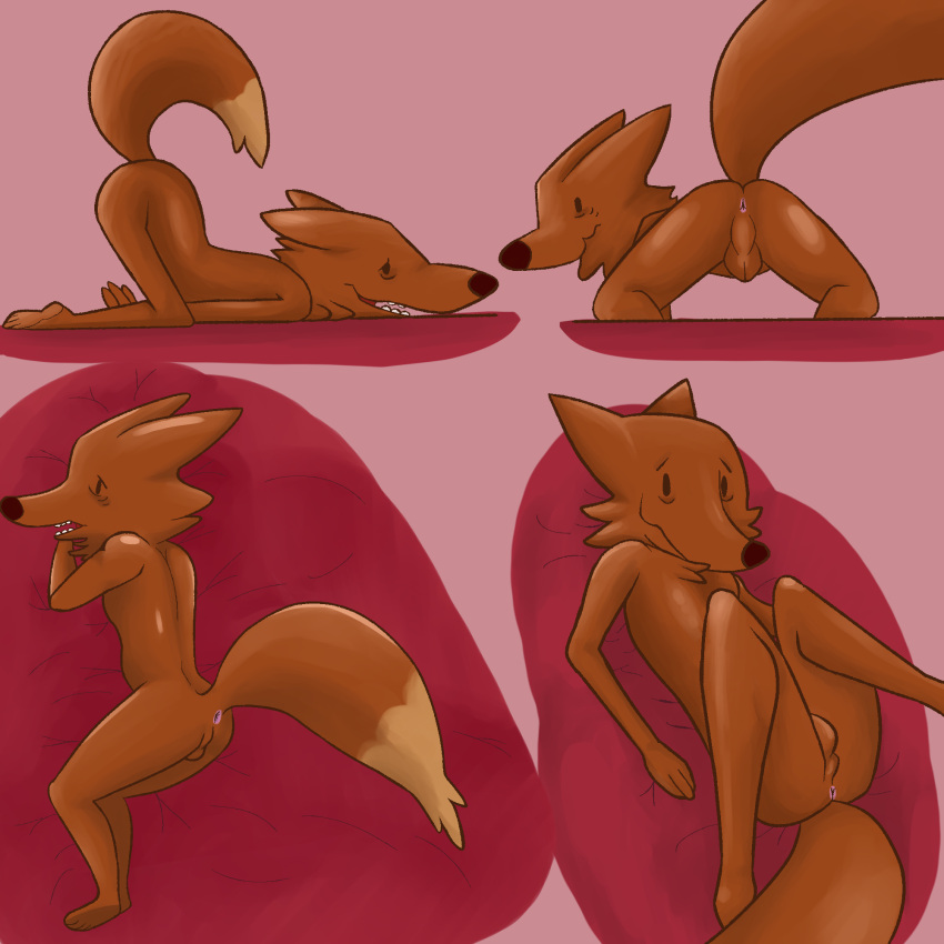 Mr. Fox (Adventure Time) Rule 34 Image