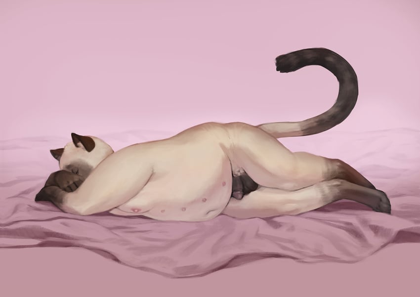 2019 anthro balls biped black_balls black_penis chubby-shark closed_eyes digital_media_(artwork) digital_painting_(artwork) digitigrade domestic_cat felid feline felis flaccid fur genitals jameel lying male mammal multi_nipple navel nipples nude on_side overweight overweight_anthro overweight_male penis prick_ears raised_tail siamese sleeping solo tail white_body white_fur