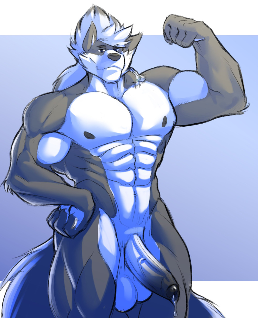 1boy abs absurd_res anthro balls ballsack biceps body_fur canid canine canis dangling_testicles erection flexing flexing_bicep fluffy fluffy_tail foreskin genitals grey_fur hi_res humanoid_penis hyponova intact leaking leaking_precum looking_at_viewer low_hanging_balls male male_nipples male_only mammal masculine muscles muscular_anthro muscular_male muscular_thighs nude_male obliques partially_retracted_foreskin pecs penis precum scrotum smile smirk solo testicles uncut veiny_penis white_countershading white_hair wolf