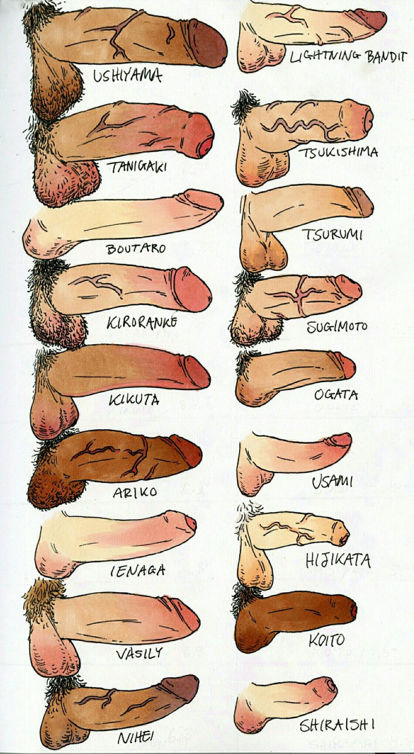 boutaro_the_pirate golden_kamuy hairy_balls hajime_tsukishima ienaga_kano kikuta_mokutaro kiroranke koito_otonoshin large_penis male_only ogata_hyakunosuke penis penis_size_chart penis_size_difference rikimatsu_ariko saichi_sugimoto shiraishi_yoshitake tanigaki_genjirou tokushirou_tsurumi tsukishima_hajime uncircumcised usami_tokishige ushiyama vasily_(golden_kamuy) veiny_penis