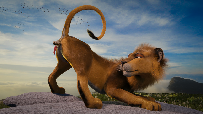 3d animal_genitalia animal_penis anus avian balls bird digital_media_(artwork) erection felid feline_penis feral genitals lion looking_back male mammal outside pantherine penis raised_tail realistic rock ruark sky solo spread_legs spreading