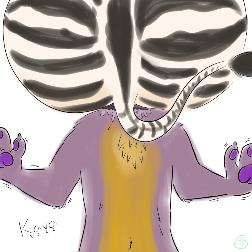 2022 absurd_res ambiguous/ambiguous ambiguous_gender ambiguous_on_anthro ambiguous_species anal anal_grip anal_vore anthro anthro_only belly duo equid equine fur head_in_ass hi_res kava_(artist) mammal pawpads purple_body purple_fur purple_pawpads questionable_consent simple_background striped_body striped_fur stripes surprise vore white_background yellow_belly zebra