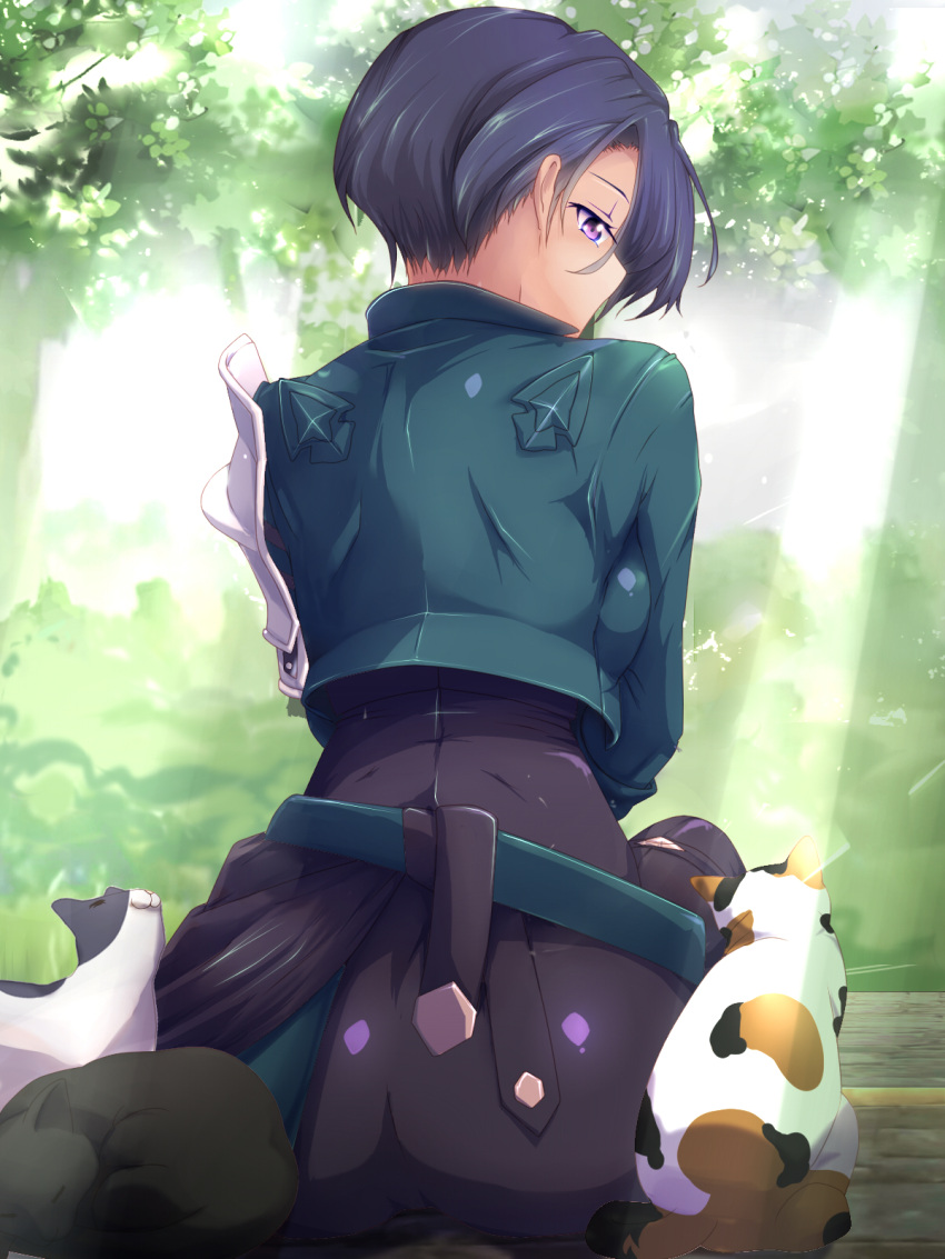 Shamir Nevrand (Fire Emblem) Rule 34 Image