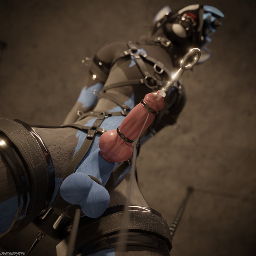 1:1 1boy 3d_(artwork) 4k absurd_res anal anal_sex animal_genitalia animal_penis anthro anthro_on_anthro anthro_penetrated arms_tied arrin asphyxiation ball_gag ball_stretcher ball_stretching ballbusting balls ballsack basement bdsm_gear bdsm_outfit biped blender_(software) blender_cycles blindfold blue_body blue_fur body_fur bondage bound bucket cables canid canine canine_genitalia canine_penis chained chained_cuffs chains choking claws clothing cock_and_ball_torture collar container cuffs_(clothing) cum cum_drip cum_dripping_from_penis cum_in_bucket cum_in_container cum_on_penis cumshot d-ring dangling_testicles depth_of_field digital_media_(artwork) dragonplayer dripping dungeon ejaculation electrode electrode_in_anus electrode_on_penis electrostimulation erection exposed_balls feet forced fox furniture gag gagged genital_torture genitals grey_body grey_fur hands_behind_back hanging_from_ceiling harness hi_res hindpaw humiliation inside knot latex leash leashed_collar legs_tied legs_up low_hanging_balls male male_only male_penetrated mammal milking_cum multicolored_body open_mouth orgasm pain paws penetration penis pink_penis pipes reflection restraints rexouium rope rope_around_balls scrotum slim slim_anthro slim_male slim_sub solo sounding_rod spread_legs spreader_bar spreading struggling submissive submissive_male suspended_in_midair tail teeth testicles tied_balls tight_clothing torture urethral white_body white_fur