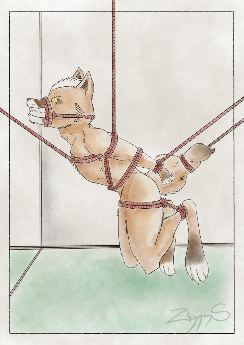 alphabet anthro bondage bondage bound canid canine fox fox_mccloud hi_res male mammal nintendo nude restraints rope rope_bondage rope_harness solo star_fox struggling suspension ziggy_s