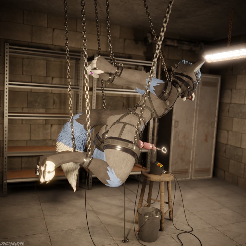 1:1 1boy 3d_(artwork) 4k absurd_res anal anal_sex animal_genitalia animal_penis anthro anthro_on_anthro anthro_penetrated arms_tied arrin asphyxiation ball_gag ball_stretching ballbusting basement bdsm_gear bdsm_outfit biped blender_(software) blender_cycles blindfold blue_body blue_fur body_fur bondage bound bucket cables canine canine_genitalia canine_penis chained chained_cuffs chains choking claws clothing cock_and_ball_torture collar container cuffs_(clothing) cum cum_drip cum_dripping_from_penis cum_in_bucket cum_in_container cum_on_penis cumshot d-ring depth_of_field digital_media_(artwork) dragonplayer dripping dungeon ejaculation electrode electrode_in_anus electrode_on_penis electrostimulation erection exposed_balls feet forced fox furniture gag gagged genital_torture genitals grey_body grey_fur hands_behind_back hanging_from_ceiling harness hi_res hindpaw humiliation inside knot latex leash leashed_collar legs_tied legs_up male male_only male_penetrated mammal milking_cum multicolored_body open_mouth orgasm pain paws penetration penis pink_penis pipes reflection restraints rexouium rope rope_around_balls slim slim_anthro slim_male slim_sub solo sounding_rod spread_legs spreader_bar spreading struggling submissive submissive_male suspended_in_midair tail teeth tied_balls tight_clothing torture urethral white_body white_fur