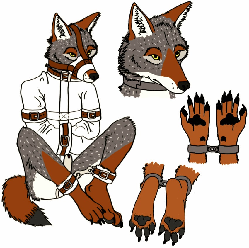 anthro bondage bound canid canine canis cathodeglow chastity_belt chastity_cage chastity_device collar coyote cuff_(restraint) fur grey_body grey_fur handpaw hindpaw male male_only mammal metal_collar metal_cuffs muzzle_(object) muzzled pawpads paws red_body red_fur restraints solo straitjacket