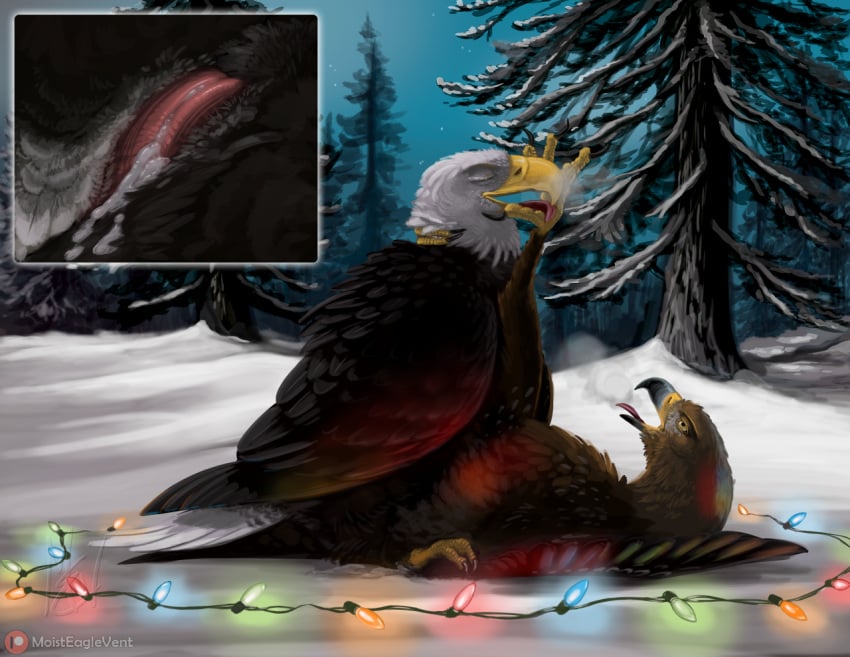 accipitrid accipitriform aetus_(character) avian avian_feet bald_eagle beak bird bodily_fluids brown_body brown_feathers christmas_lights claws cloacal cloacal_kiss closed_eyes cum cum_in_cloaca cum_inside duo eagle feathered_wings feathers feral feral_on_feral foot_fetish foot_lick foot_play genital_fluids licking male male/male moisteaglevent one_foot_raised open_beak open_mouth outside sea_eagle sex snow talons tongue tongue_out wings winter