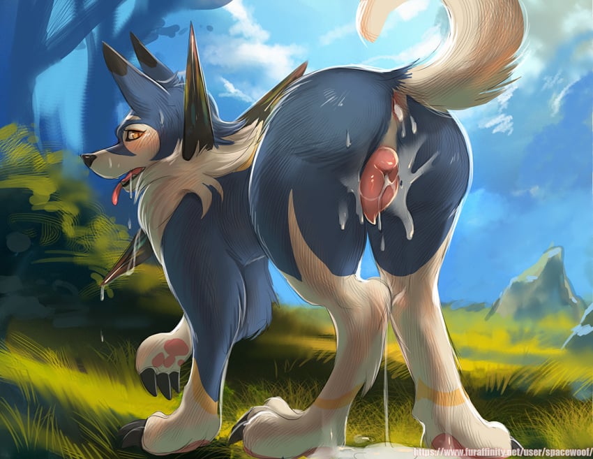 animal_genitalia animal_pussy anus blush bodily_fluids canine_pussy cum cum_in_pussy cum_inside day female feral generation_7_pokemon genital_fluids genitals leaking_cum looking_at_viewer lycanroc midday_lycanroc nintendo outside pokemon pokemon_(species) presenting pussy shiny_pokemon solo spacewoof tongue tongue_out video_games