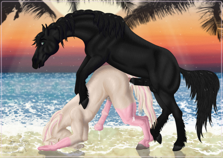 2020 animal_genitalia animal_penis anthro anthro_on_feral balls beach bent_over black_body black_hair black_tail bodily_fluids cum cum_drip cum_inside cum_on_penis digital_media_(artwork) dominant dominant_feral dominant_male draft_horse dream_merchant dripping duo equid equine equine_penis feral friesian genital_fluids genitals green_eyes hair hooves horse looking_back male male/male mammal mane mat_(mbh98) multicolored_body multicolored_hair open_mouth penis precum precum_drip seaside shoshana submissive submissive_anthro submissive_male two_tone_body two_tone_hair two_tone_tail water zoophilia