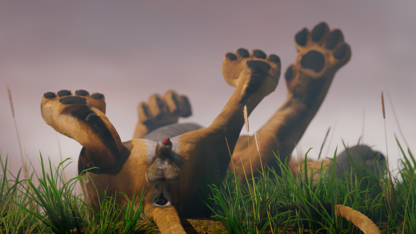 16:9 3d animal_genitalia animal_penis anus balls digital_media_(artwork) felid feline_penis feral genitals grass lion lying male mammal on_back pantherine pawpads paws penis penis_tip plant rear_view ruark solo widescreen