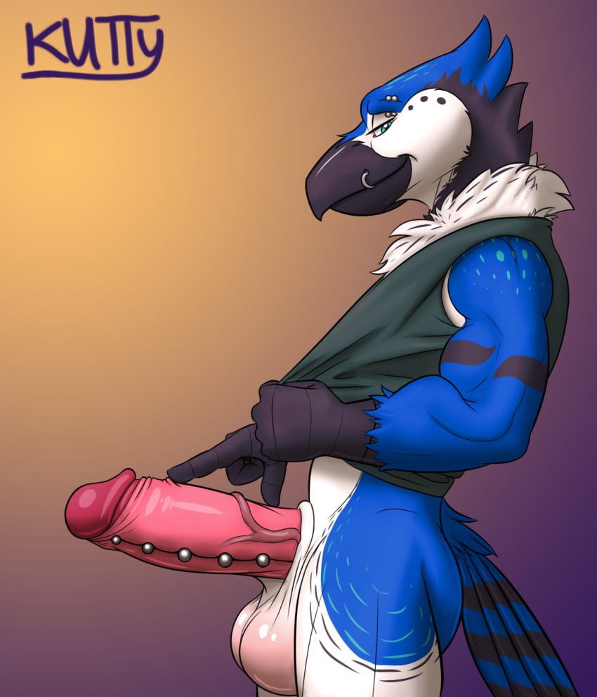 anthro athletic athletic_anthro athletic_male avian balls big_balls big_penis bird blue_eyes blue_jay corvid genital_piercing genitals hi_res humanoid jay_(bird) kaicha kutty_kockatoo male muscular muscular_anthro muscular_male neck_tuft new_world_jay oscine passerine penis piercing presenting smug smug_expression smug_face smug_grin solo solo_focus tuft