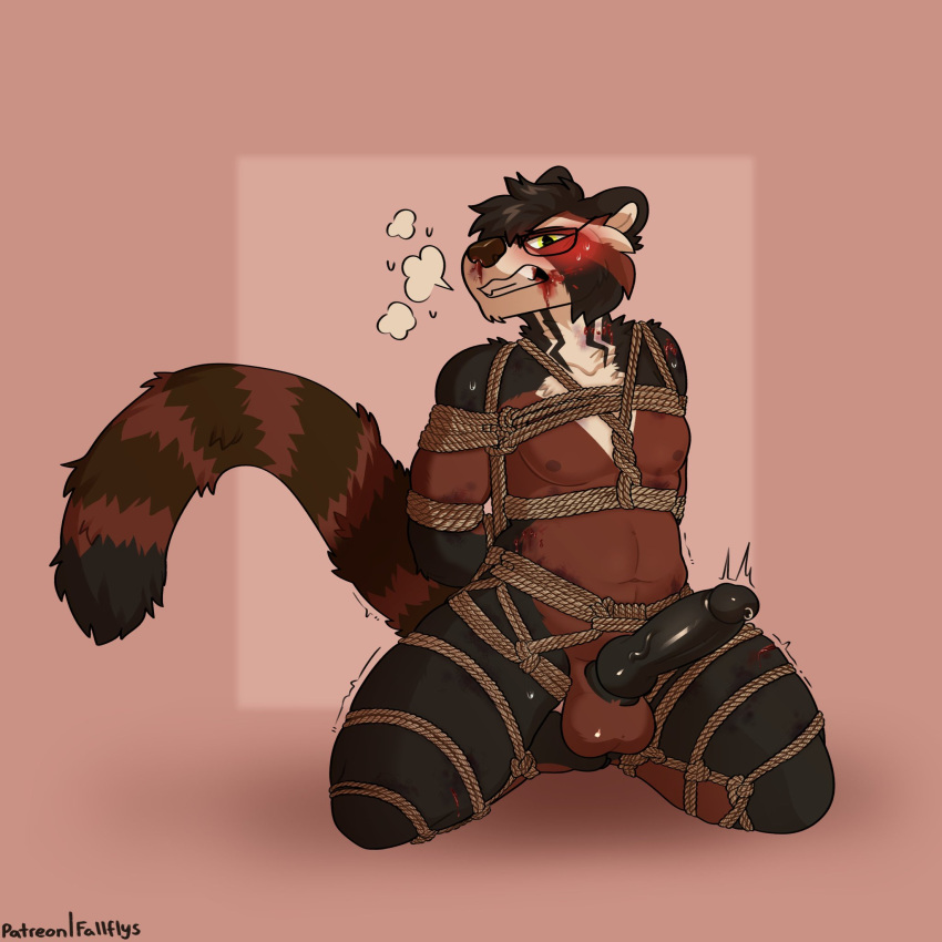 ailurid anthro asher_(chubbybogga) bite_mark blood blush bodily_fluids bondage bound breath bruised eyewear fallflys genital_fluids genitals glasses gore hi_res knot male male_only male_ryona mammal panting penis precum red_panda restraints rope rope_bondage rope_harness shaking slightly_chubby solo solo_male sweat teasing trembling ursid wounded