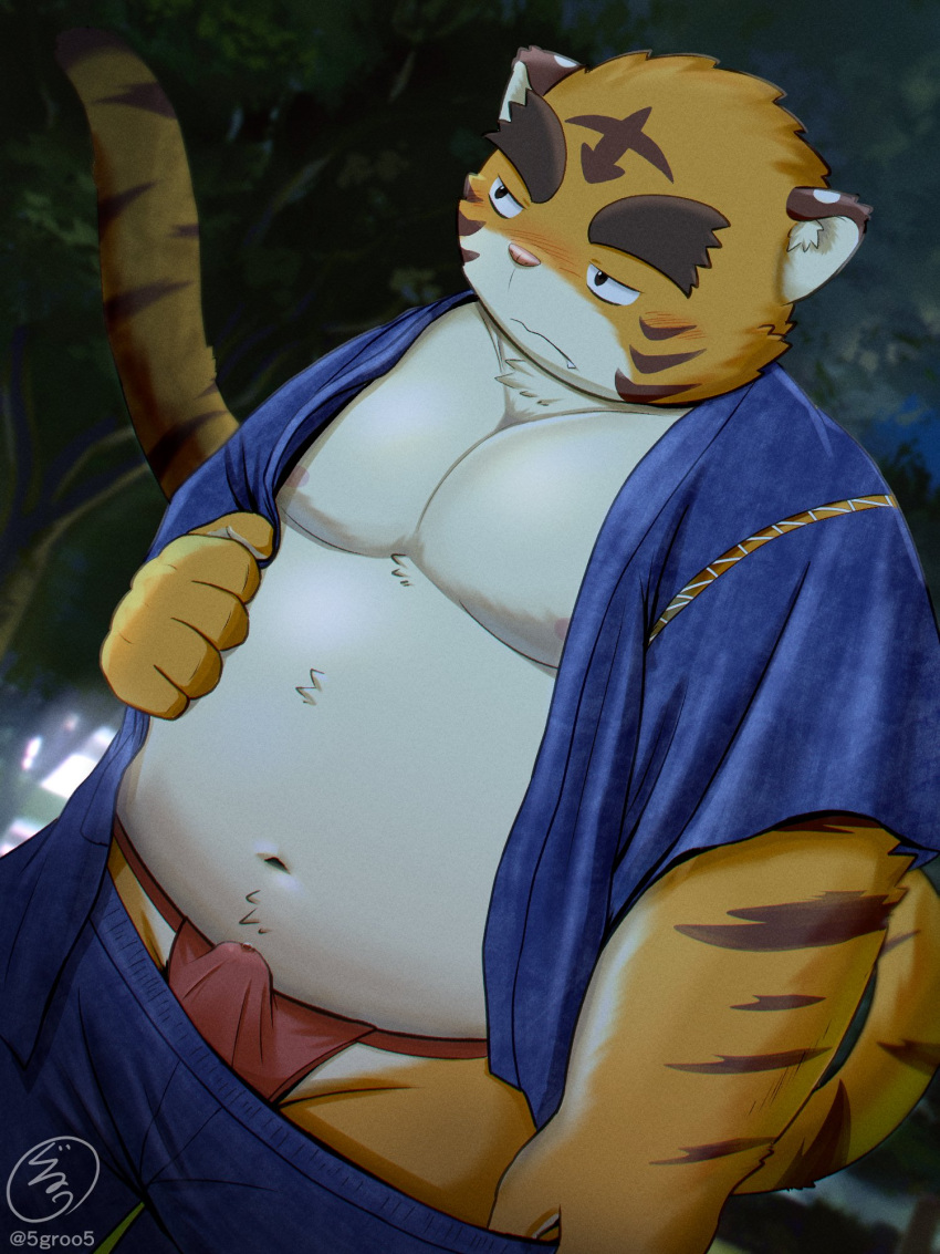 2022 5groo5 anthro asian_clothing belly blush bulge clothing east_asian_clothing felid fundoshi hi_res humanoid_hands japanese_clothing jinbei_(clothing) kemono male mammal moobs navel outside overweight overweight_male pantherine red_clothing red_fundoshi red_underwear solo tiger underwear