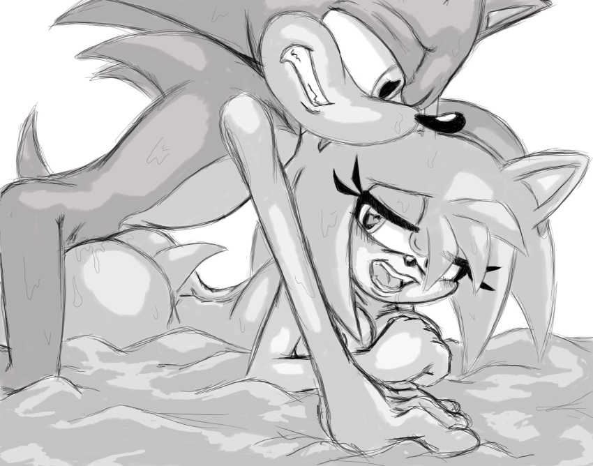 amy_rose anthro bodily_fluids doggy_style duo eulipotyphlan female from_behind_position hedgehog hi_res lewdsharx male male/female mammal sega sex sonic_(series) sonic_the_hedgehog sonic_the_hedgehog_(series) sweat