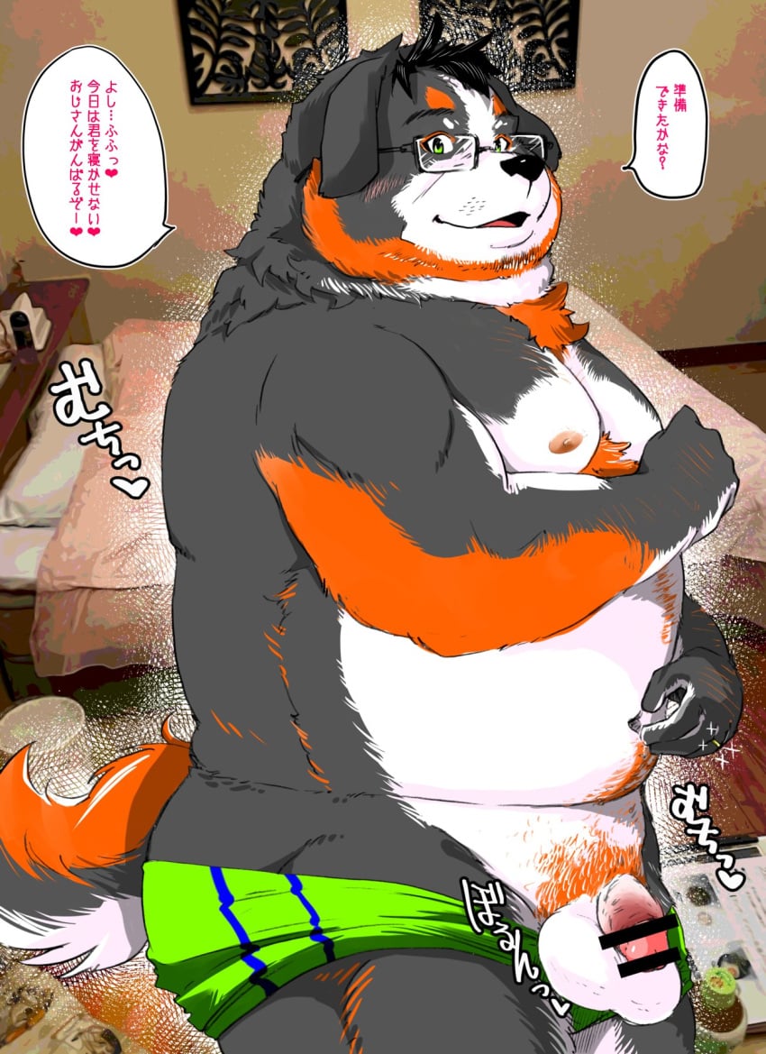 2022 anthro belly bernese_mountain_dog big_belly black_body canid canine canis censored domestic_dog eyewear flaccid genitals glasses hi_res humanoid_genitalia humanoid_hands humanoid_penis japanese_text kemono male mammal mature_male molosser moobs mountain_dog nipples overweight overweight_male penis shintatokoro solo swiss_mountain_dog text white_body