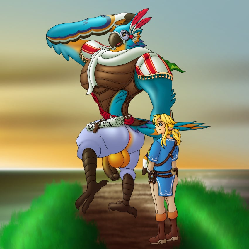 absurd_res ahegarou anthro anus ass avian backsack balls big_balls big_butt big_pecs big_penis blonde_hair blush breath_of_the_wild duo eyelashes foreskin genitals girly hair hi_res huge_balls huge_cock human humanoid hylian kass_(tloz) kass_(zelda) link long_hair male male/male mammal muscular nervous nintendo pecs penis rito size_difference the_legend_of_zelda thick_eyelashes video_games