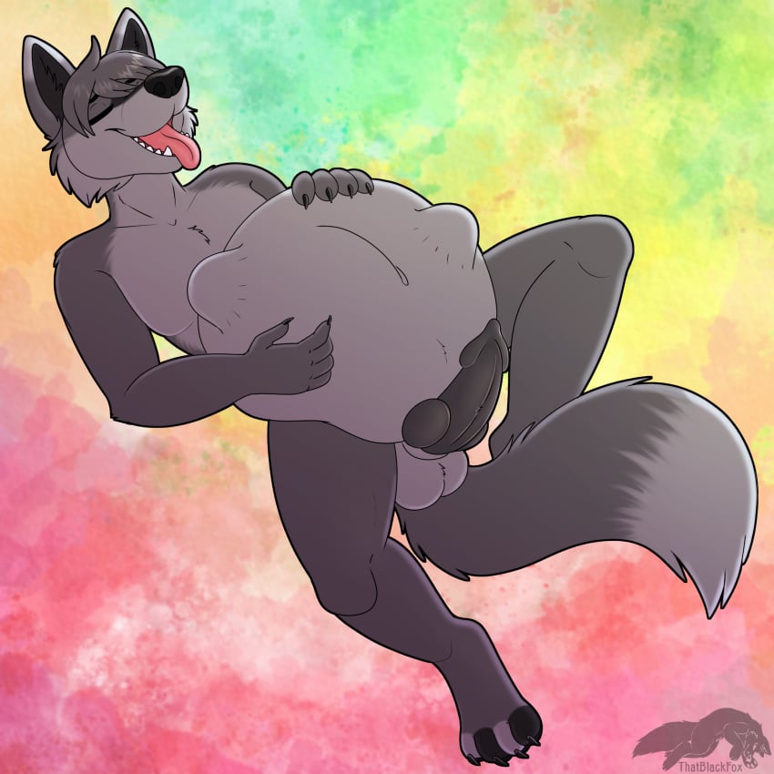 1:1 absurd_res animal_genitalia anthro balls belly_play canid canine canis chubby_male genitals hi_res kinktober knot male mammal penis predator/prey sheath slightly_chubby soft_vore solo thatblackfox_(artist) vore wolf