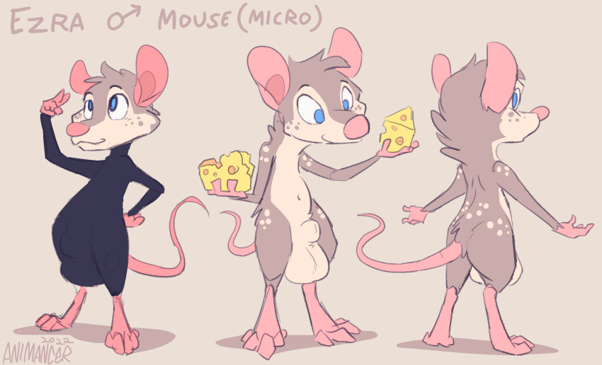 absurd_res animancer balls big_balls cheese dairy_products ezra_(disambiguation) food freckles genitals hi_res male mammal micro model_sheet mouse murid murine rodent