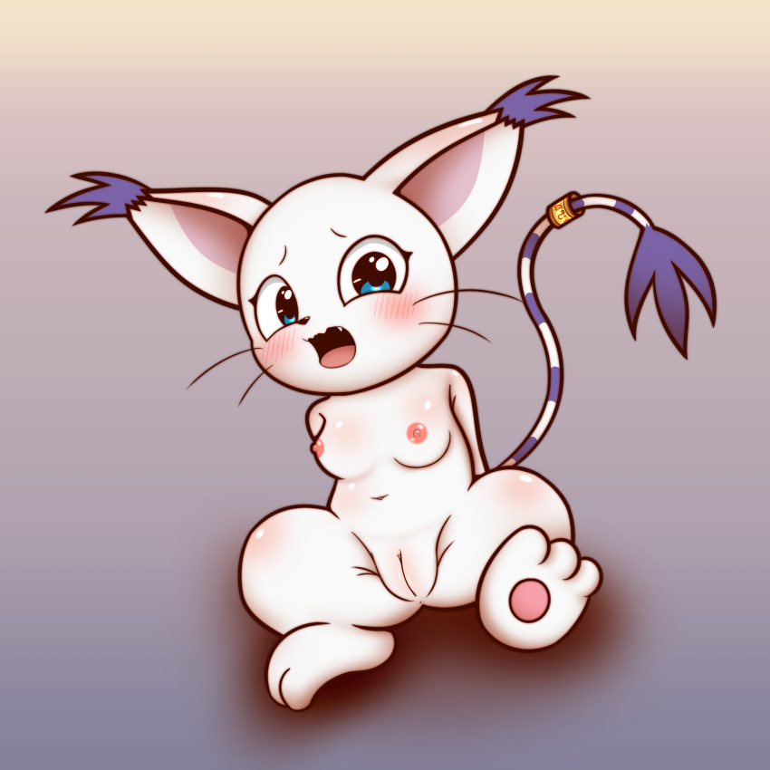 bandai_namco cleft_of_venus digimon digimon_(species) female gatomon genitals hi_res koufun nipples nude pubic_mound pussy solo