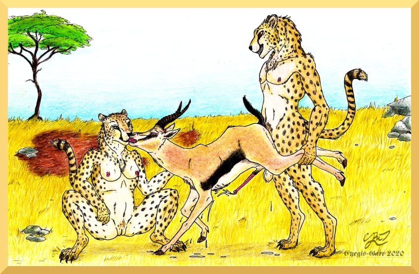 anal anal_sex antelope anthro anthro_on_feral anthro_penetrating anthro_penetrating_feral bodily_fluids bovid cheetah cum cum_while_penetrated eyegis-garr felid feline female feral feral_penetrated from_behind_position gazelle genital_fluids group hi_res male male/female male/male mammal penetration predator/prey sex traditional_media_(artwork) trio wheelbarrow_position zoophilia