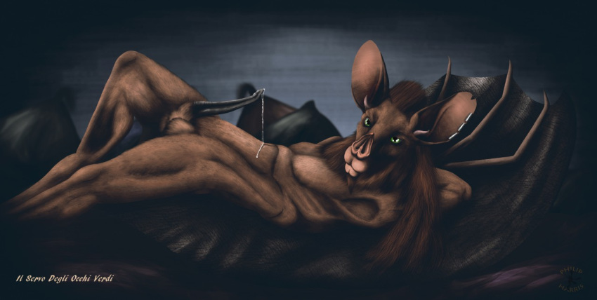 animal_genitalia animal_penis anthro bat_ears bat_nose bat_penis bat_wings bodily_fluids chiropteran digital_drawing_(artwork) digital_media_(artwork) dripping erection eyegis-garr_(character) genital_fluids genitals hair looking_at_viewer lying male male_only mammal membrane_(anatomy) membranous_wings on_back penis precum precum_drip presenting smexyoryx solo wings