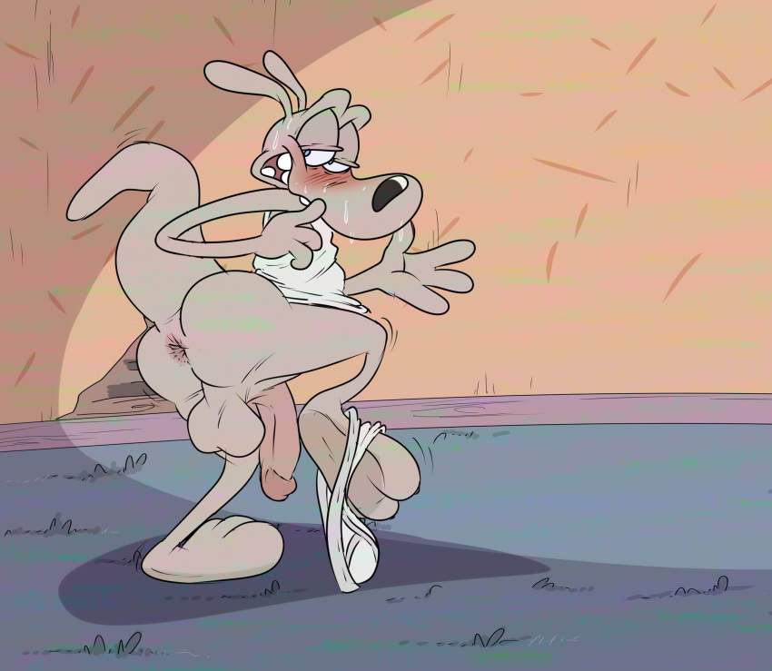 Rocko Rama (Nickelodeon) Rule 34 Image
