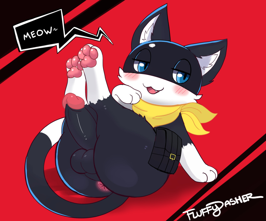 :3 anthro anus ass atlus balls blue_eyes blush domestic_cat erection felid feline felis femboy fluffydasher fur furry furry_only genitals hi_res legs_up male male_only mammal megami_tensei megami_tensei_persona morgana_(persona) pawpads penis simple_background solo tail text video_games