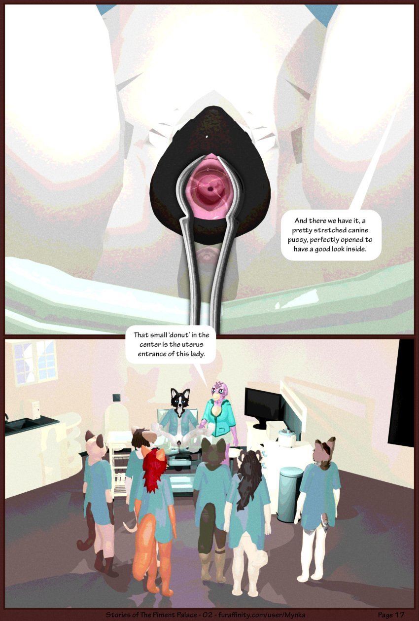 3d_(artwork) anatomically_correct animal_genitalia animal_pussy anthro anus australian_shepherd avian bird bodily_fluids border_collie canid canine canine_pussy canis clothed clothing collie comic dialogue digital_media_(artwork) domestic_cat domestic_dog english_text feathers felid feline felis female genital_close_up genital_exam genital_exploration genital_fluids genitals glaire_daggers group gynecological_chair herding_dog hi_res hospital_gown husky juli_(juuli) katlin_perkins legs_up looking_at_genitalia looking_at_pussy lory_(mynka) mammal maned_wolf medical medical_examination medical_instrument medical_play medical_procedure murid murine mynka nordic_sled_dog nurse nurse_clothing nurse_uniform page_17 pantherine partially_clothed pastoral_dog patient physical_exam pussy pussy_juice pussy_juice_on_pussy pussy_juice_string rat rodent scientific_instrument sheepdog siamese snow_leopard speculum speech_bubble spitz spread_legs spread_pussy spreading stretched_pussy subzero_(subdoggo) text twister_(nikol_eyes) uniform uterus