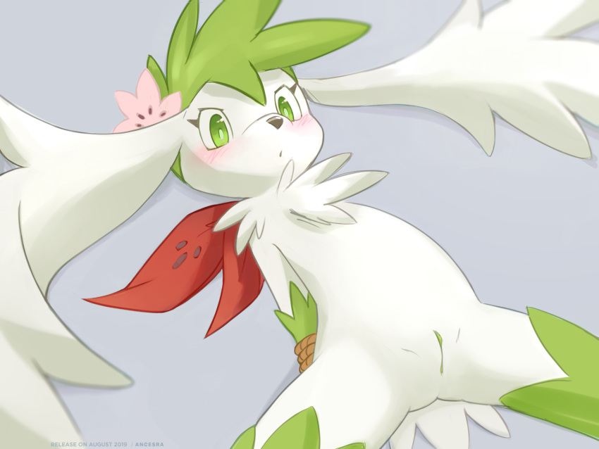 ancesra anthro blush bound female fur generation_4_pokemon genitals hi_res legendary_pokemon lying nintendo nude on_back pokemon pokemon_(species) pussy rope shaymin sky_forme_shaymin solo video_games white_body white_fur