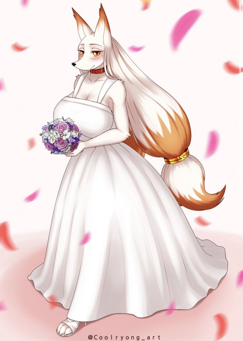 anthro bare_shoulders blush cleavage clothing collar coolryong dress female female_focus female_only flower fox furry high_heels huge_breasts red_collar renard_(homura_kasuka) rose_petals smile wedding wedding_dress white_clothing white_dress white_fur yellow_eyes