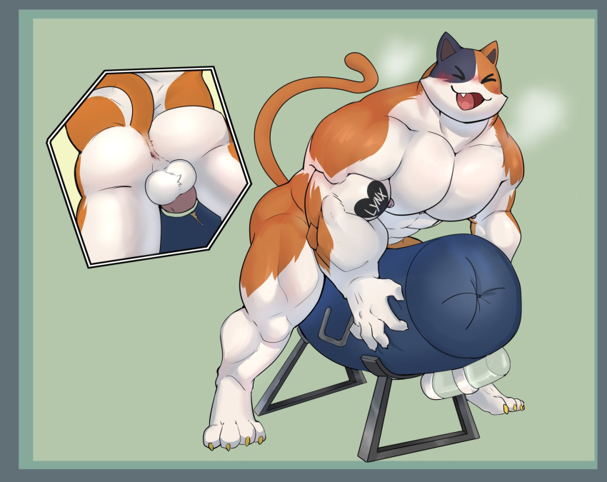 anthro balls big_balls big_breasts big_penis breasts calico_cat clothing domestic_cat epic_games felid feline felis fortnite fur genitals hi_res human humanoid humanoid_genitalia humanoid_penis mafekoba male male_only mammal meowscles meowscles_(fortnite) mottled muscular muscular_anthro muscular_male nipples pecs penetration penis piebald simple_background smile solo video_games