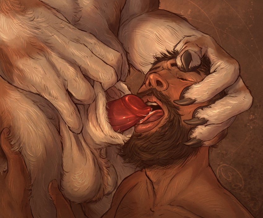 animal_genitalia animal_penis anthro anthro_dominating_human anthro_penetrating anthro_penetrating_human balls beard big_dom_small_sub brown_hair canid canine canine_penis canis closed_eyes domestic_dog dominant dominant_anthro dominant_male duo erection facial_hair fur genitals hair hi_res holding_head holding_partner human human_on_anthro human_penetrated interspecies larger_anthro larger_male licking male male/male mammal muscular muscular_anthro muscular_male nude oral oral_penetration penetration penile penis penis_lick s_anima sex size_difference smaller_human smaller_male smaller_penetrated submissive submissive_human submissive_male tongue tongue_out white_body white_fur