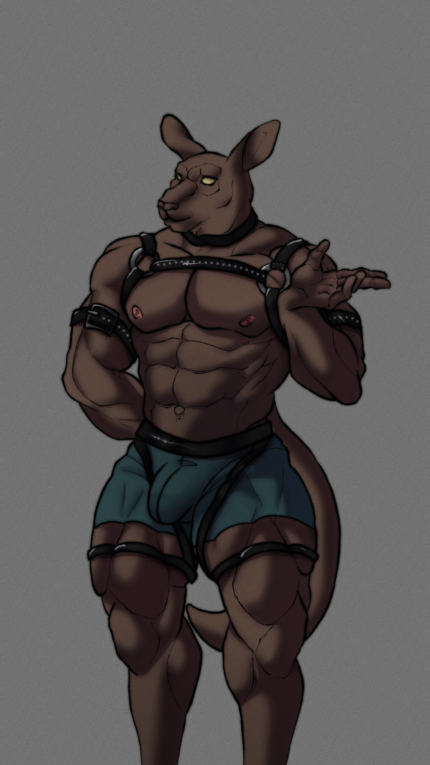 absurd_res ankhwav anthro bondage bulge choker detailed_bulge harness hi_res jewelry kangaroo legband macropod male mammal marsupial muscular necklace pecs solo thighband