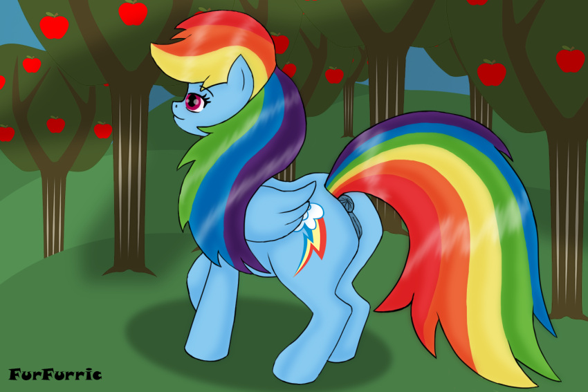 anus cutie_mark equid equine female feral friendship_is_magic furfurric genitals hasbro horse mammal my_little_pony pegasus pony pussy rainbow_dash_(mlp) solo wings