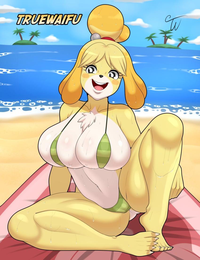 1girls animal_crossing animal_crossing_new_horizons anthro ass beach big_breasts bikini bra breasts bursting_breasts canid canine canis cleavage clothing female female_only fur furry furry_only green_bra green_panties headband hi_res humanoid isabelle_(animal_crossing) large_breasts mature_female nintendo panties red_headband sand sitting sitting_down sitting_on_towel smiling solo tongue towel truewaifu underwear watermark