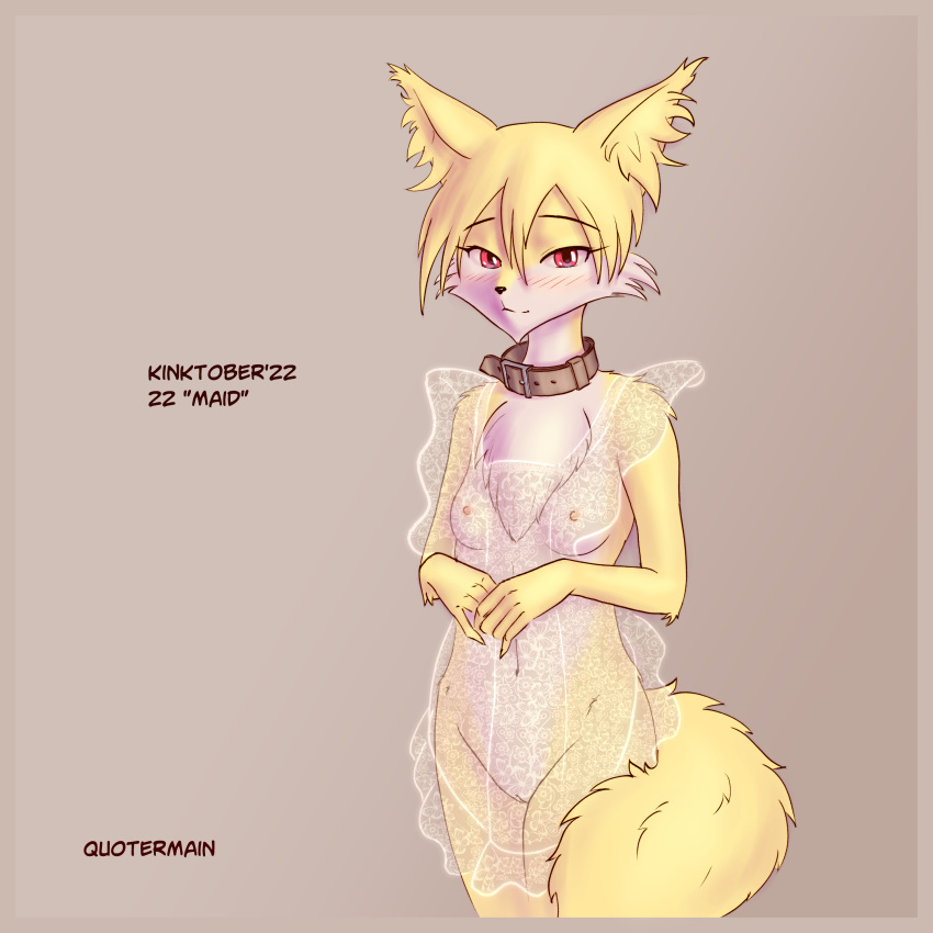 2022 absurd_res anthro biped blush breasts canid canine clothing collar female fox genitals hi_res kinktober mammal nipples page_22 pussy quotermain red_eyes standing translucent translucent_clothing