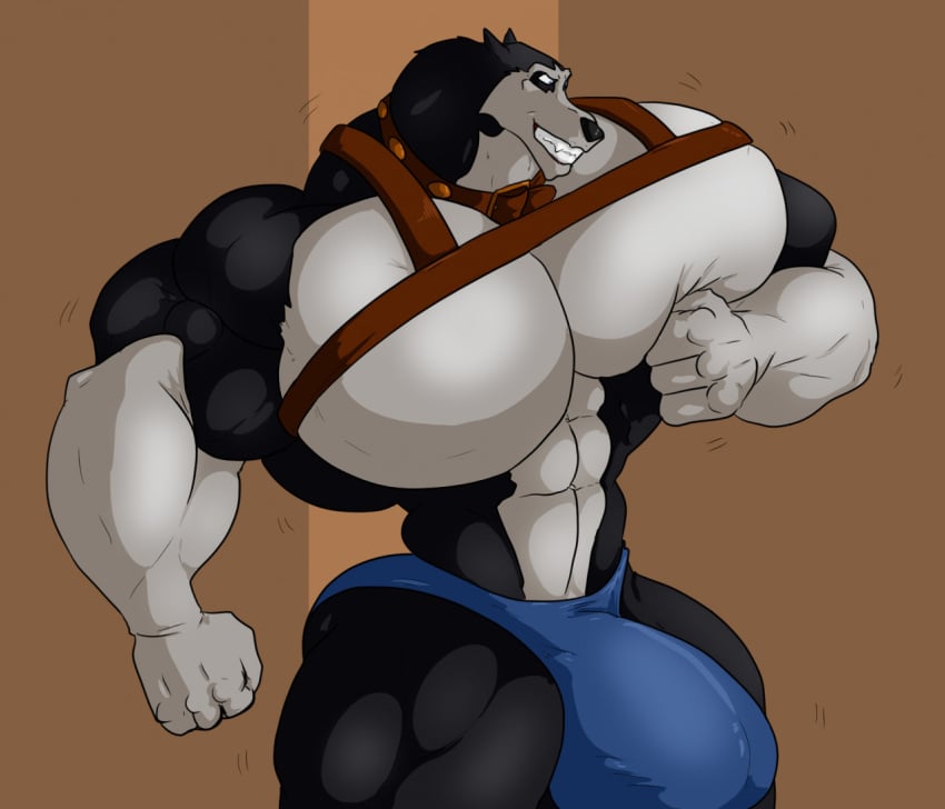 abs anthro balto_(film) big_bulge big_muscles big_pecs big_penis black_body black_fur black_nose blue_eyes bulge canid canine canis chest_harness clenched_teeth clothing collar domestic_dog fur genitals greggrth harness huge_biceps huge_bulge huge_cock huge_hips huge_muscles huge_pecs huge_thighs husky looking_down looking_pleasured male male_only mammal motion_lines muscle_worship muscular muscular_anthro muscular_arms muscular_legs muscular_male muscular_neck muscular_thighs nordic_sled_dog pecs pecs_frottage pecs_touching penis smile solo spitz steele_(balto) teeth thick_thighs thong thong_only underwear universal_studios white_body white_fur wide_hips